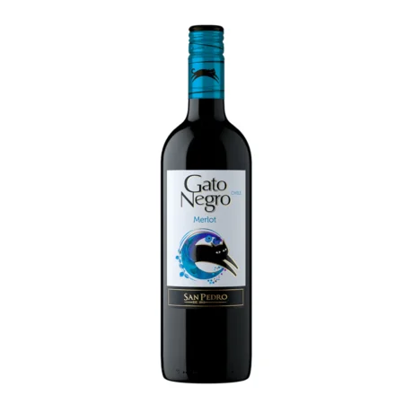 A bottle of Gato Negro Merlot with its iconic black cat label, a 75cl smooth Chilean red wine from the Central Valley available for delivery in Amman, Jordan.