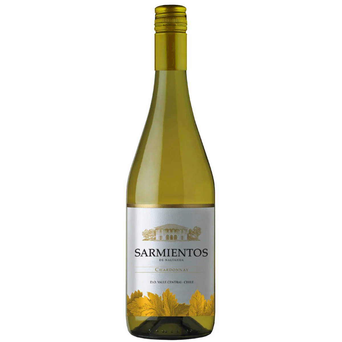 sarmientos-de-tarapaca-chardonnay-white-wine-sip22-75cl-wine-spirits-free-delivery-premium-alcohol-amman-jordan - sip22 Sarmientos de Tarapacá Chardonnay, a bright straw-yellow Chilean white wine, available for delivery in Amman. sip22.com