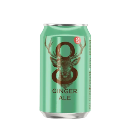 Buy Mixer online in Amman - g Ginger Ale 300ml Can